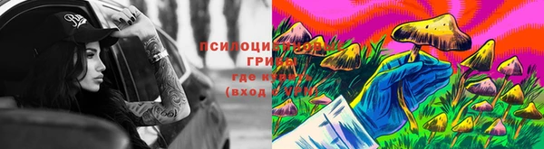 ECSTASY Лагань