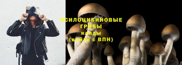 каннабис Лабытнанги