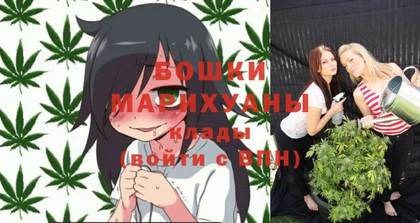 ECSTASY Лагань