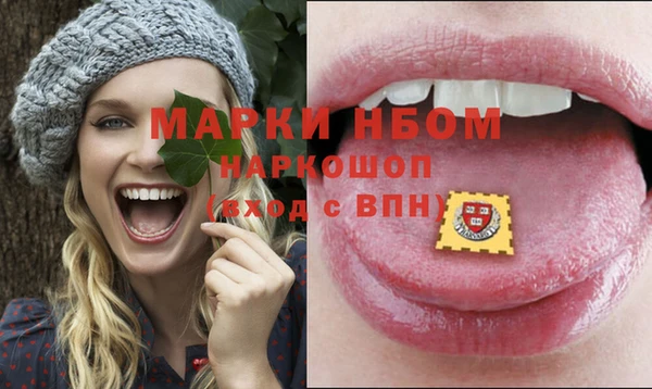 ECSTASY Лагань