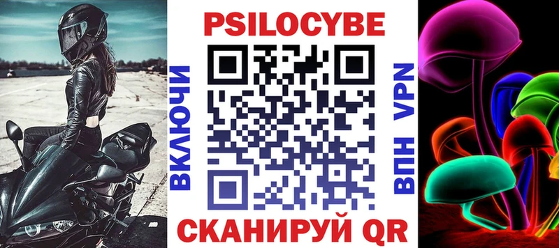 Купить закладки  Сланцы  Псилоцибиновые грибы мицелий 