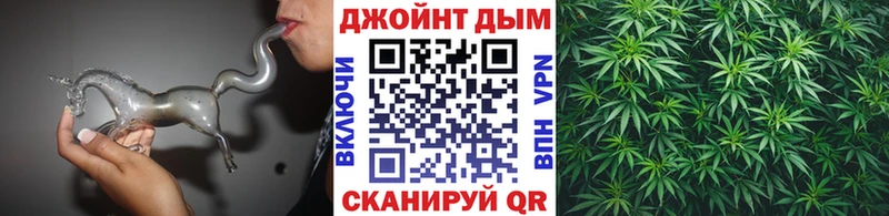Купить где Сланцы Каннабис MAZAR
